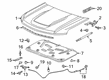 Chevy Silverado 1500 LTD Weather Strip Diagram - 23377081