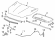 2020 Buick Encore Lift Support Diagram - 42679386