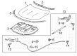 2021 Buick Envision Lift Support Diagram - 39161360