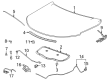 2021 Chevy Trailblazer Lift Support Diagram - 42751204