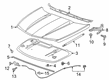 2024 Cadillac XT4 Hood Cable Diagram - 84163909