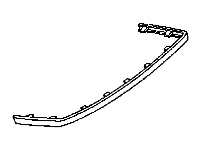 Chevy 10173555 Molding