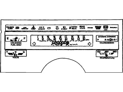 GM 25046288 Lens,Instrument Cluster