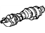 GM 10243070 Engine Crankshaft