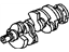 GM 12555637 Engine Crankshaft