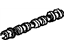 GM 12566671 Camshaft,Intake