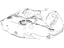GM 22781636 Fuel Tank