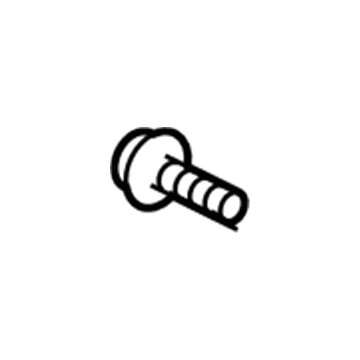 Chevy 9423101 Outer Filler Screw