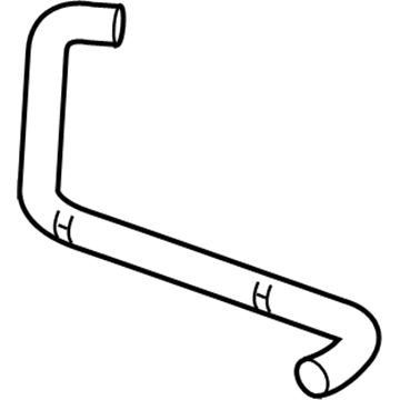 Chevy 22896363 Lower Hose