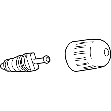 GMC 13598909 TPMS Sensor Valve