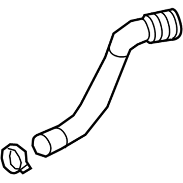 Chevy 84914044 Lower Hose