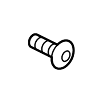 Buick 11569991 Damper Screw