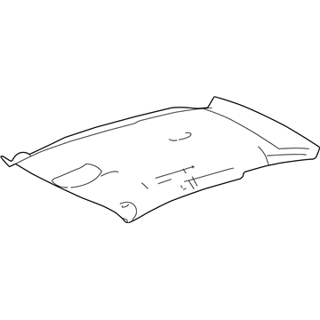 Chevy 10350843 Headliner