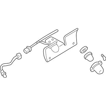 GMC 5974598 License Lamp