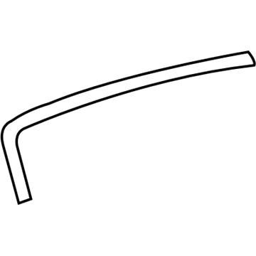 Chevy 20839676 Trim Molding