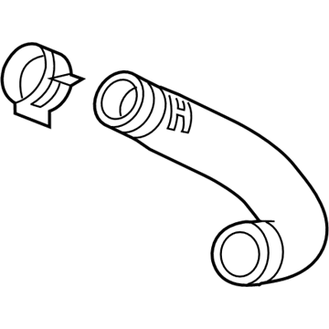 Chevy 55591980 Outlet Hose