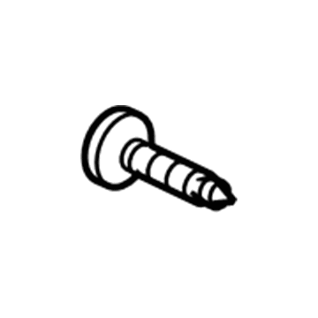 Chevy 94520619 Belt Weatherstrip Screw