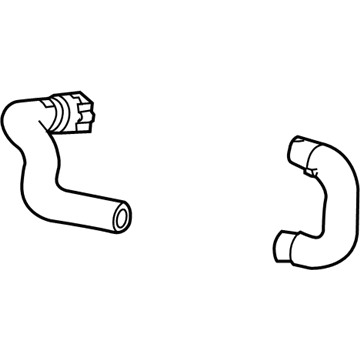 Chevy 20893310 Inlet Hose