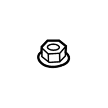 Cadillac 11546449 Water Inlet Nut