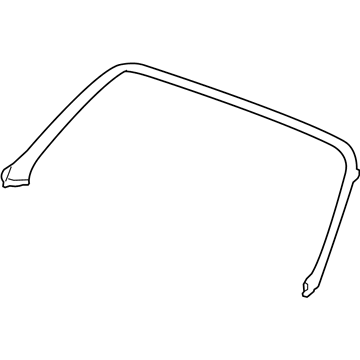 GM 15859805 Weatherstrip Assembly, Windshield Frame *Plan A