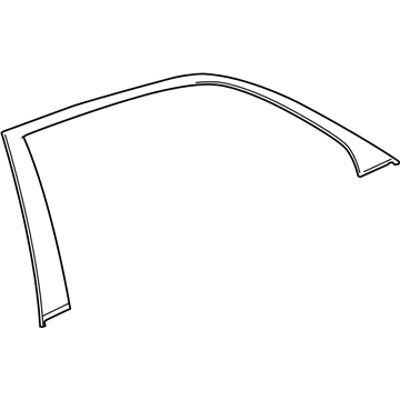 Cadillac CTS Door Moldings - 23432343