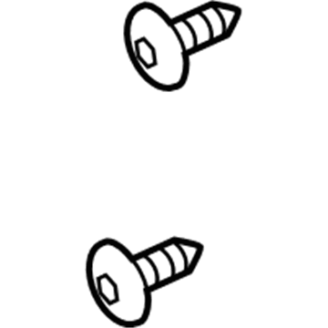 Chevy 9423101 License Bracket Screw