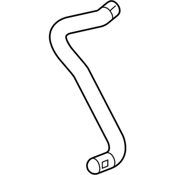 Chevy 84819090 Lower Hose