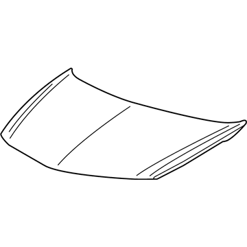 Pontiac 10428995 Hood