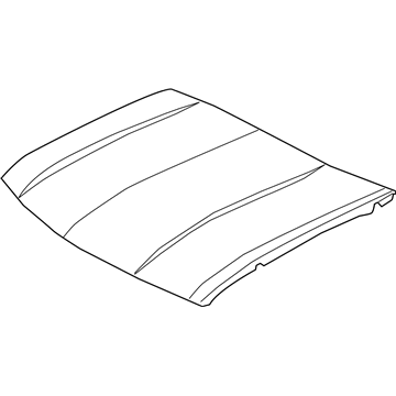 Chevy 12479949 Hood