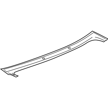 Cadillac 25707561 Lower Molding