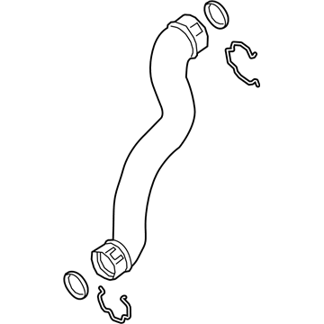 GM 23392843 Hose Assembly, Chrg Air Clr Otlt Air