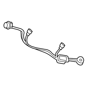 Chevy 25842432 Socket & Wire