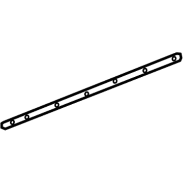 GM 23253592 Weatherstrip Assembly, Front Side Door Lower Auxiliary