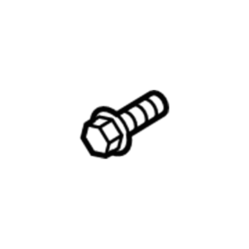 GMC 55575099 Oil Inlet Tube Bolt