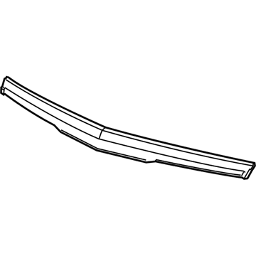 Cadillac 84661844 Front Molding