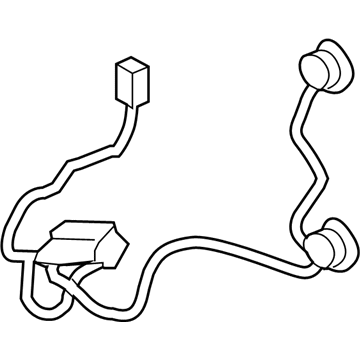 Chevy 25962806 Socket & Wire