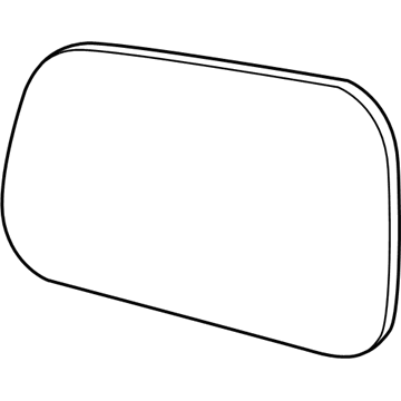 GM 20835466 Mirror, Outside Rear View (Reflector Glass & Backing Plate)