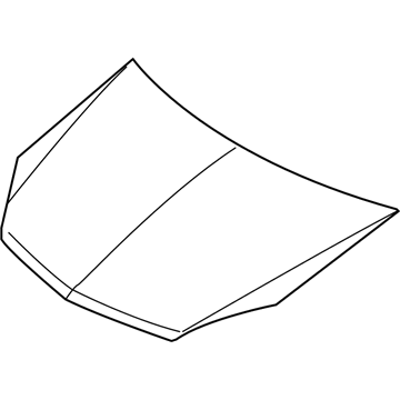 GM 93178717 Hood