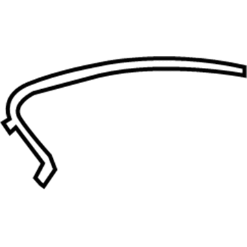 Chevy 25921421 Molding