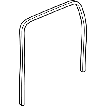 GM 19259359 Weatherstrip Asm,Rear Door