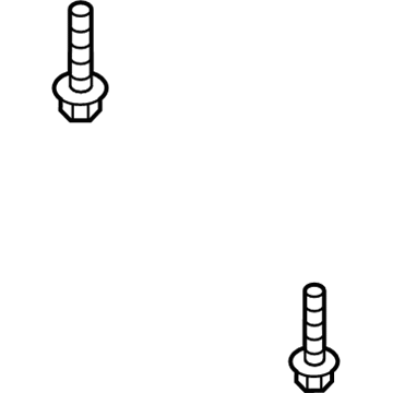 Chevy 11547421 Rocker Molding Bolt