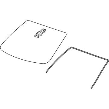 Chevy 84491941 Windshield