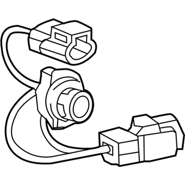 Buick 22864095 Socket & Wire