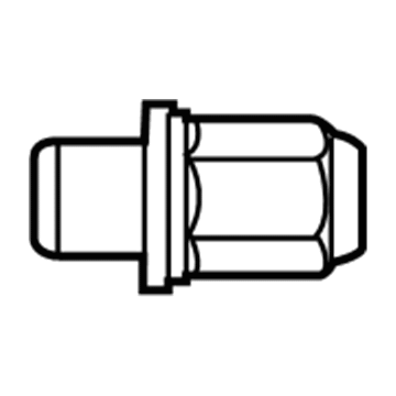 GM 88972745 Nut,Wheel *Bright)(Instrument