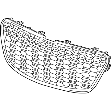 GM 95489503 Grille Assembly, Radiator Lower