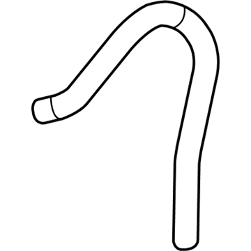 Cadillac 9438383 Canister Hose