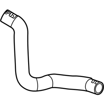 Chevy 85163342 Hoses