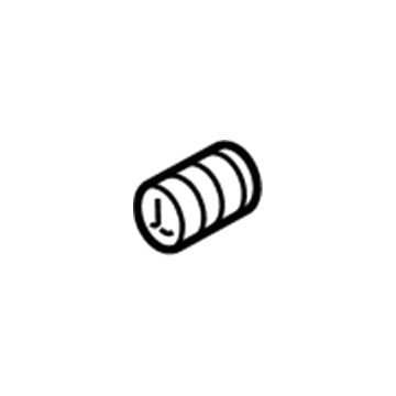 GM 19316293 Spring,Catalytic Converter