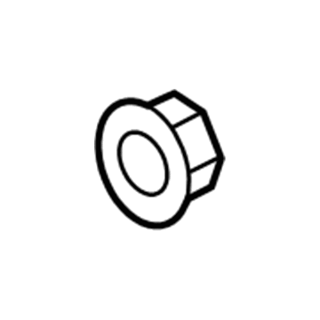 GMC 11570742 Front Molding Nut