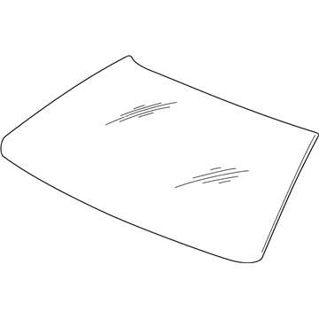 Buick 10316541 Windshield